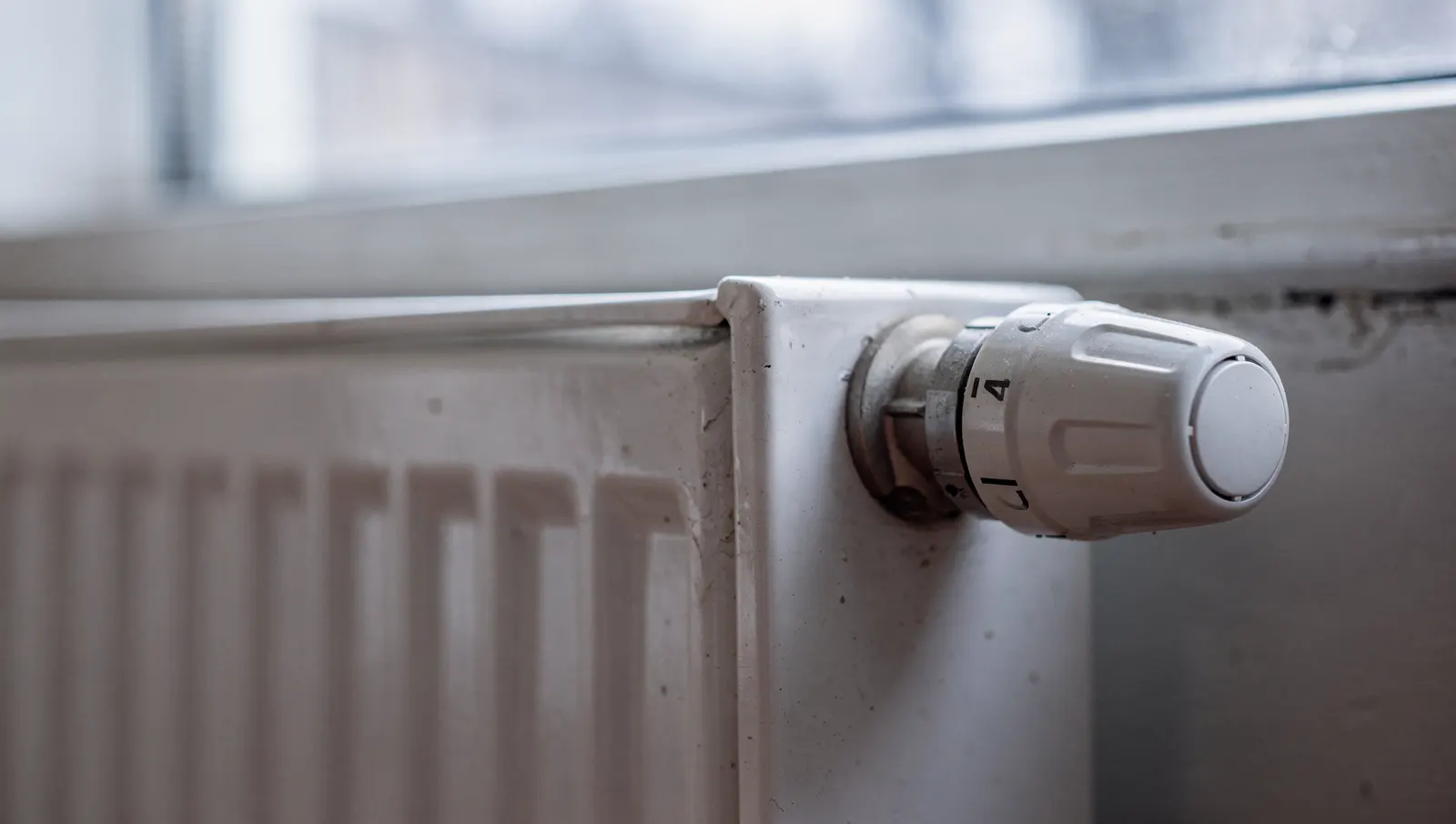 Tête thermostatique connectée blanche montée sur un radiateur à eau sous une fenêtre